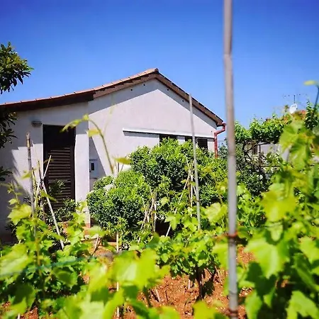 Apartamento Leni Pula