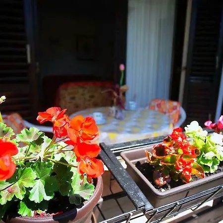 Leni Apartment Pula